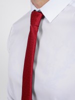 Camisa clássica lisa slim fit elástica Camisa clássica lisa slim fit elástica