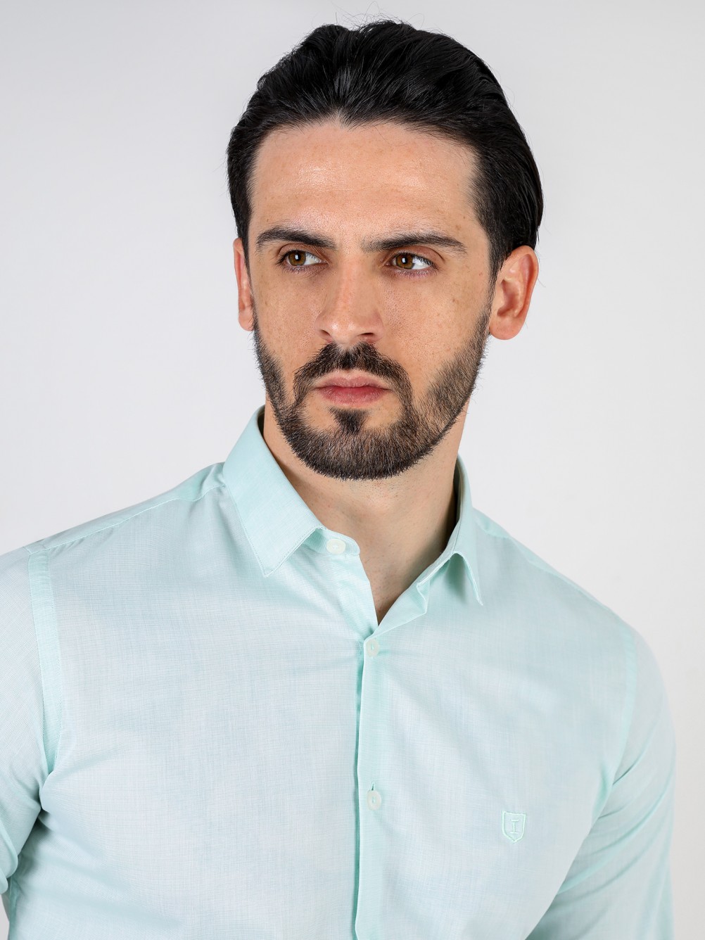 Camisa cl�sica slim fit con bordado