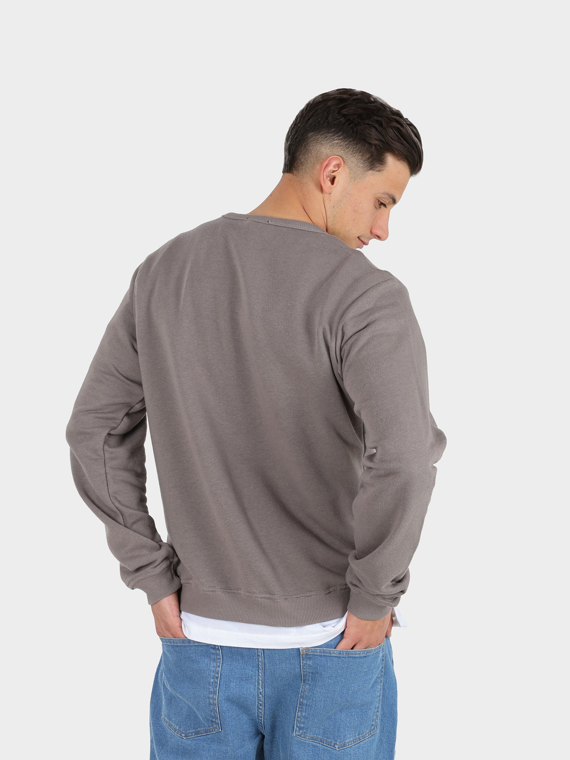 Plain sweatshirt with logo