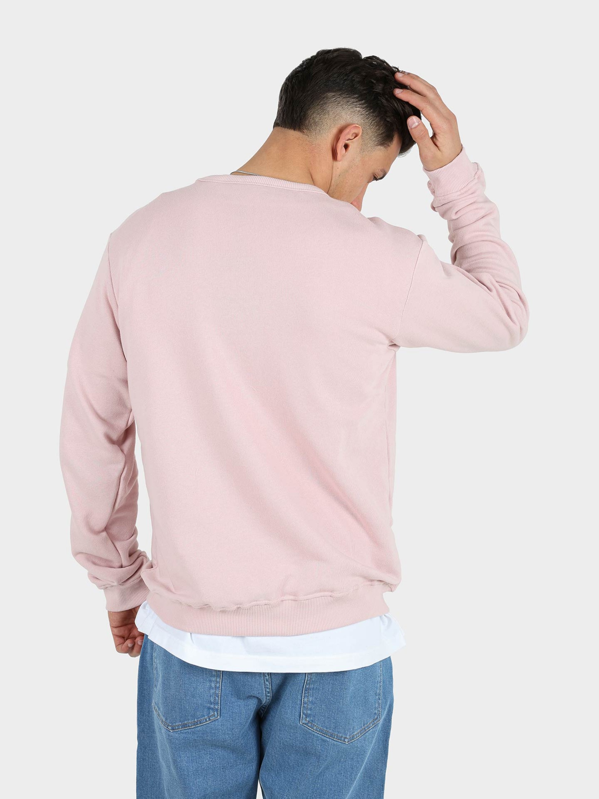Plain sweatshirt with logo
