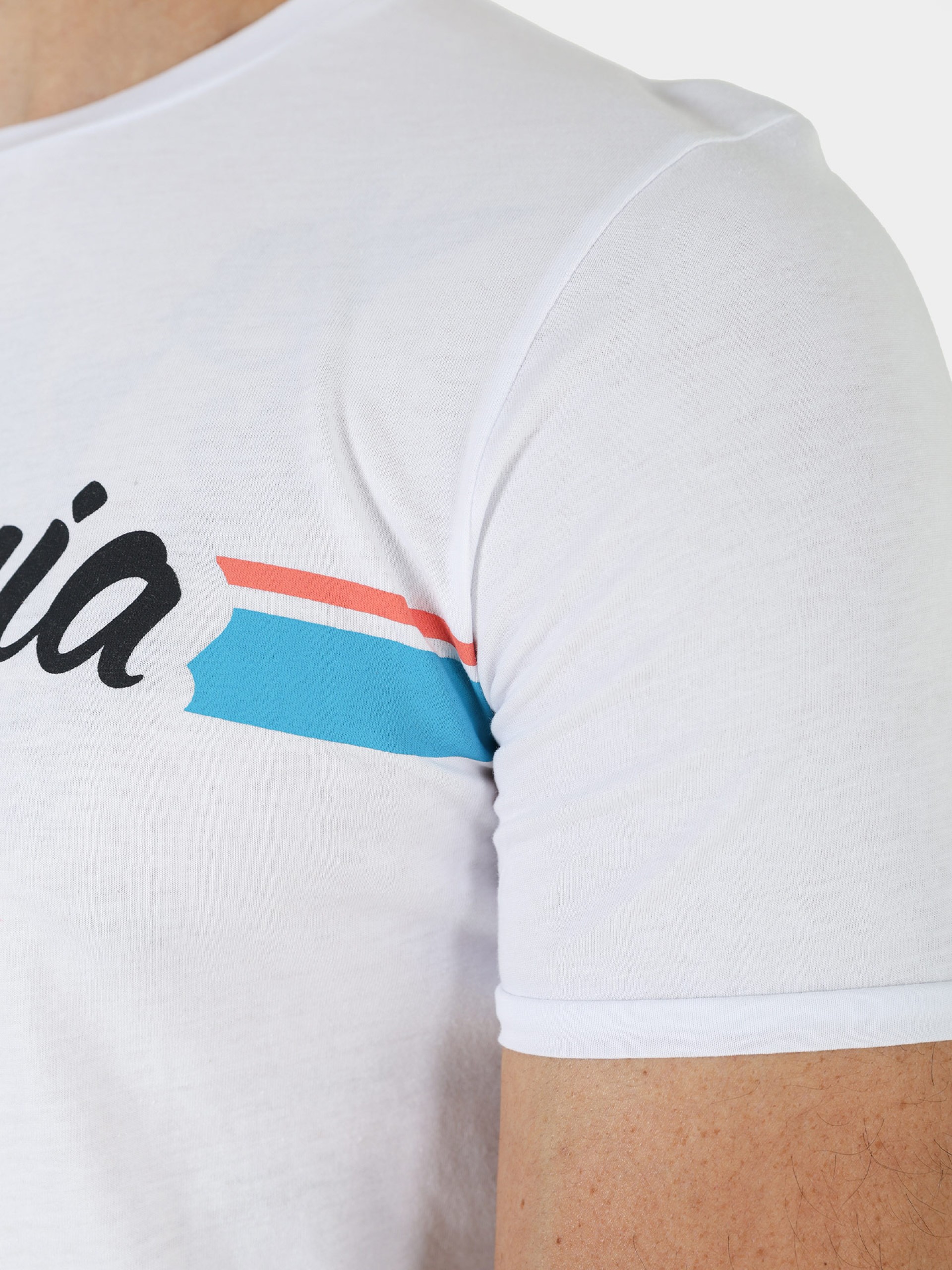 Camiseta California 100% algodón