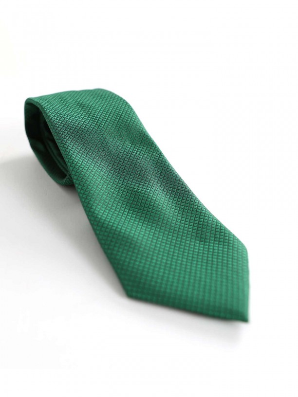 Elegant regular fit tie