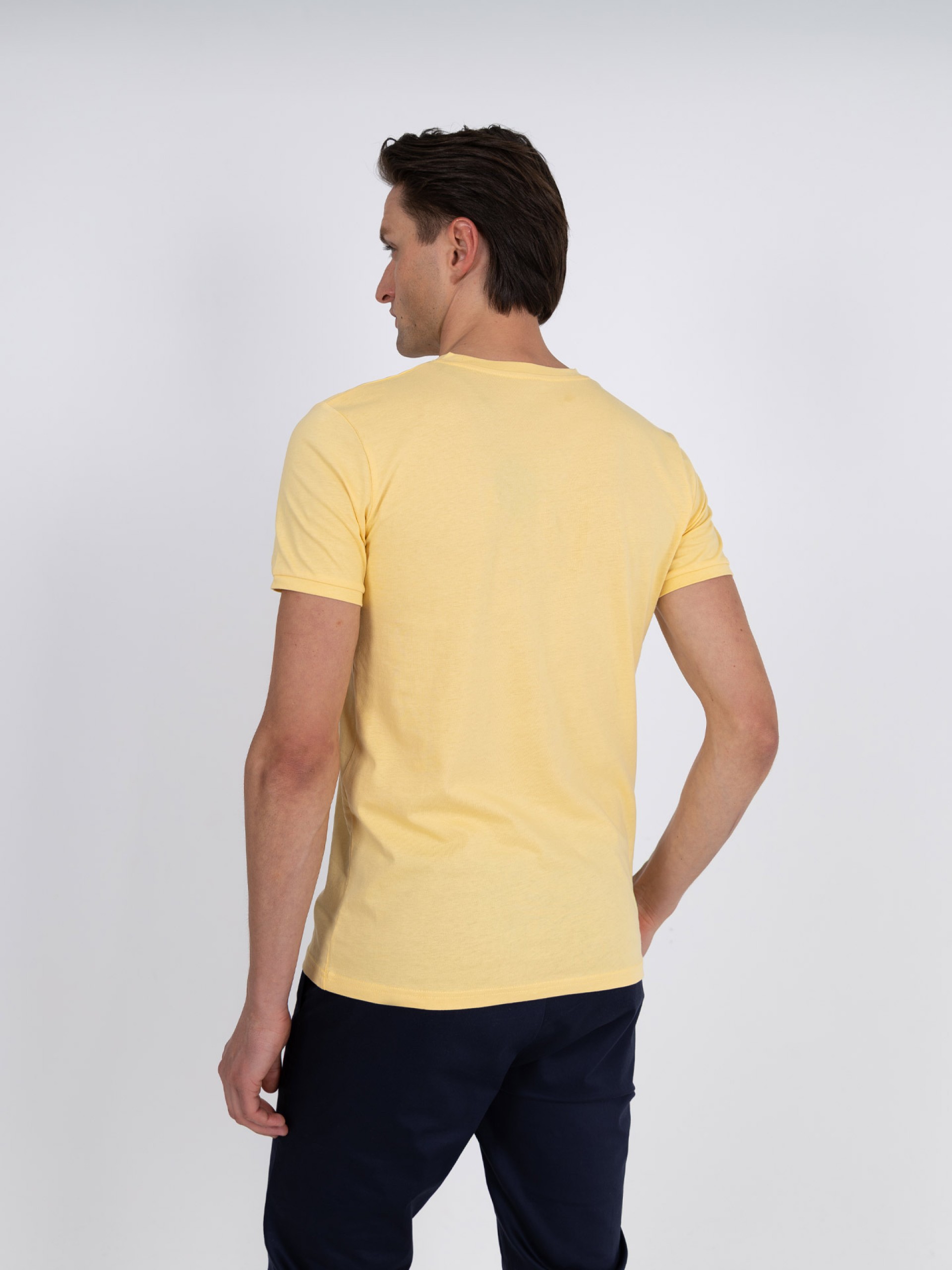 Camiseta 100% algodón