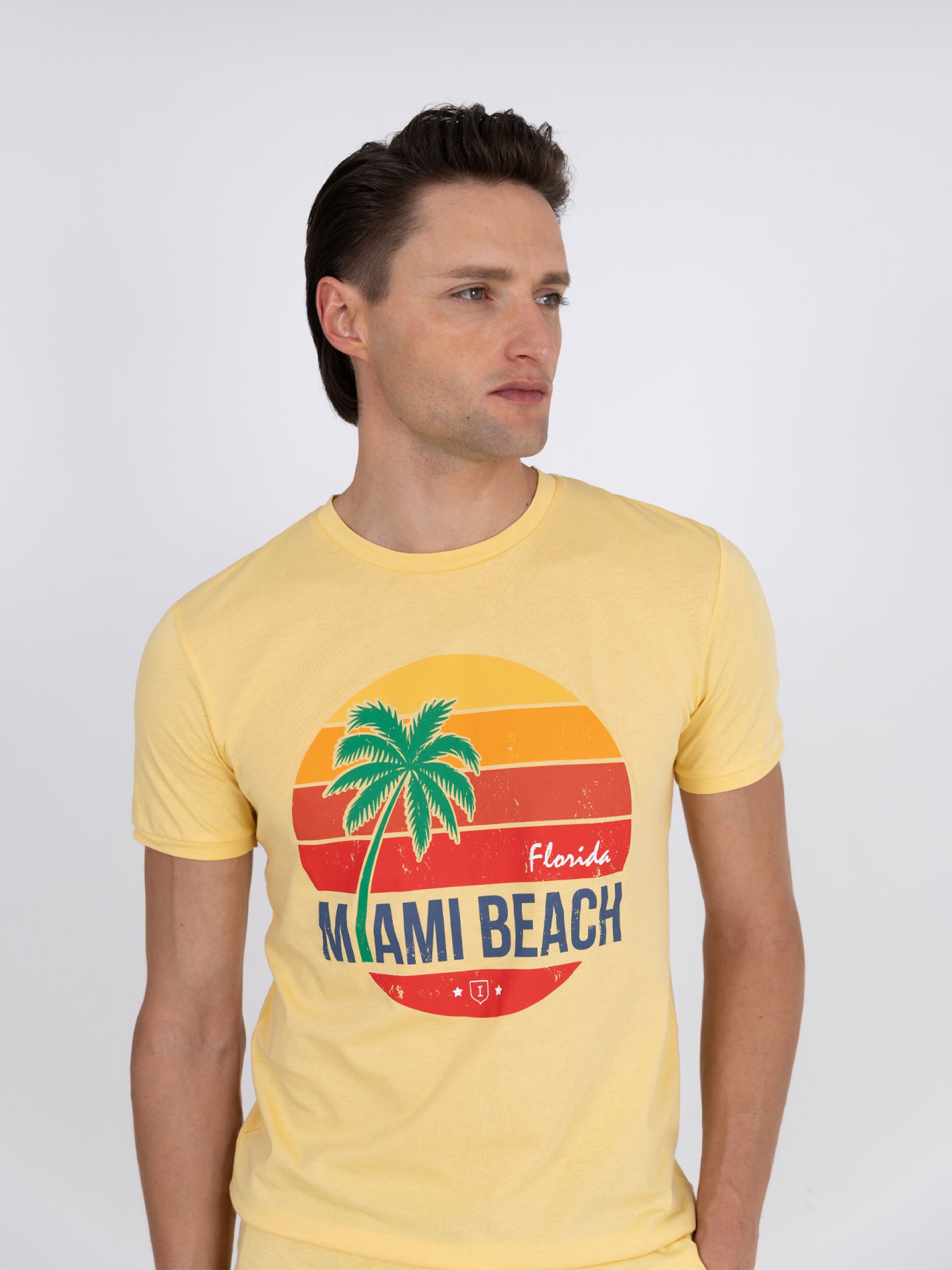 Camiseta 100% algodón