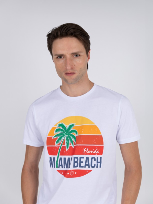 Camiseta 100% algodn