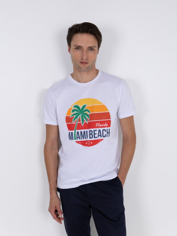 Camiseta 100% algodn