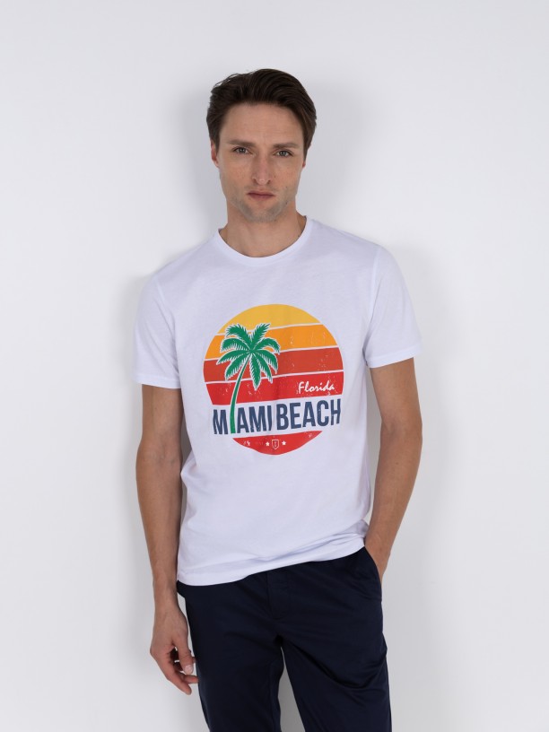 Camiseta 100% algodn