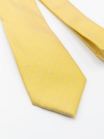 Elegant regular fit tie