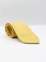 Elegant regular fit tie
